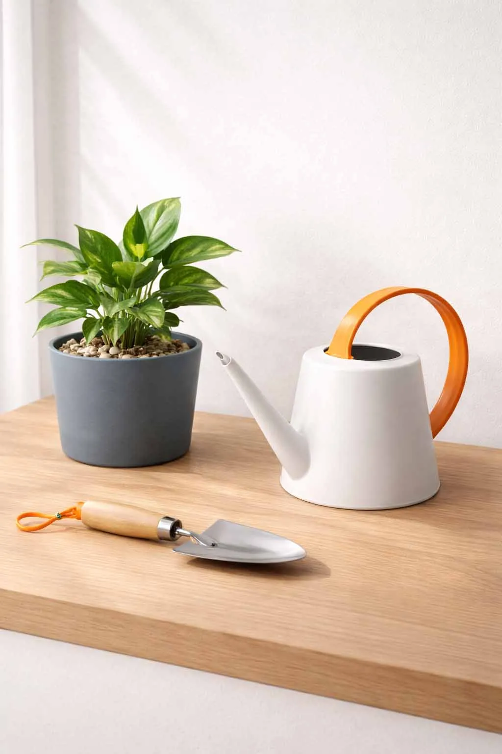 haus und garten stillleben mit zimmerpflanze gießkanne und gartenwerkzeug in natürlicher wohnatmosphäre